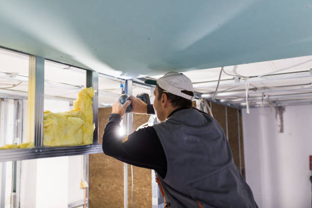 Best Cellulose Insulation in Everett, MA