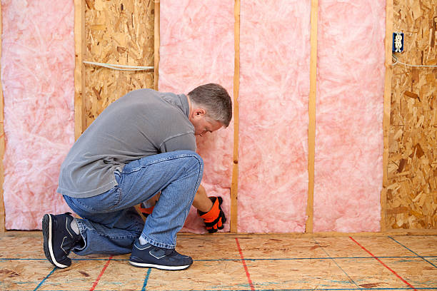 Best Geographic-Specific Insulation Services in Everett, MA